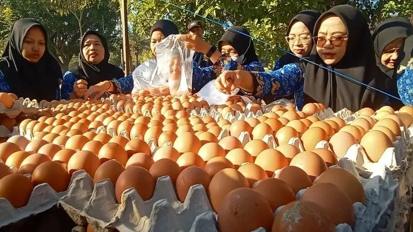 Telur Blitar Jadi yang Termurah di Jatim, tetapi Harga Rendah Membebani Peternak